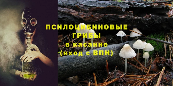 2c-b Беломорск